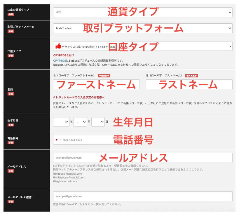 必要事項を入力