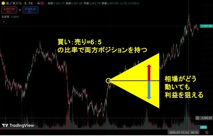 FX必勝法:両建て65法